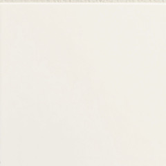 Flexible Architecture White_1