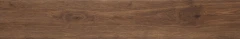 Actually Brown_1
