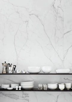 Magnifica Statuario_3