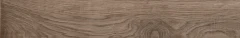 Actually Taupe_1