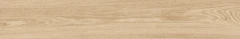 Actually Light Beige_1