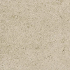 Caracter Greige_1