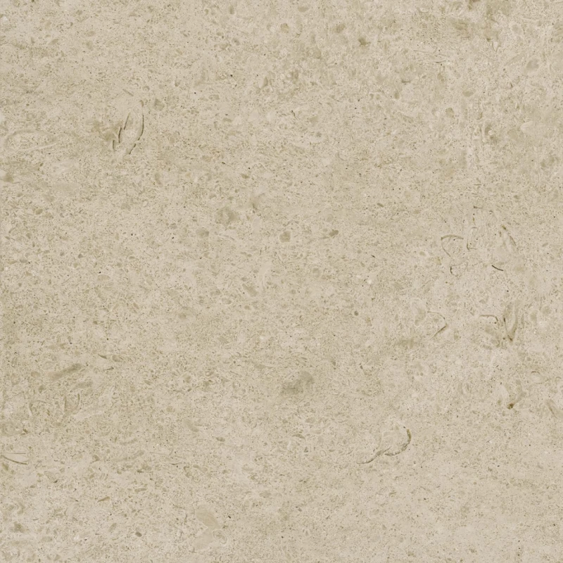 Caracter Greige_1