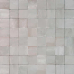 Rice Grigio_1