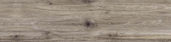 Treverktrend Tortora_1