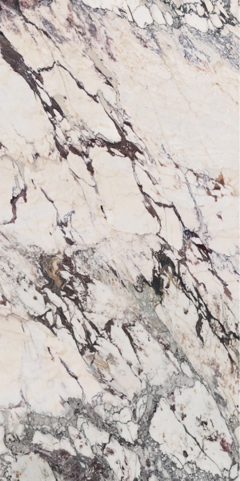 Grande Marble Look Bookmatch Faccia B Capraia_1
