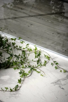 Allmarble Statuario_5