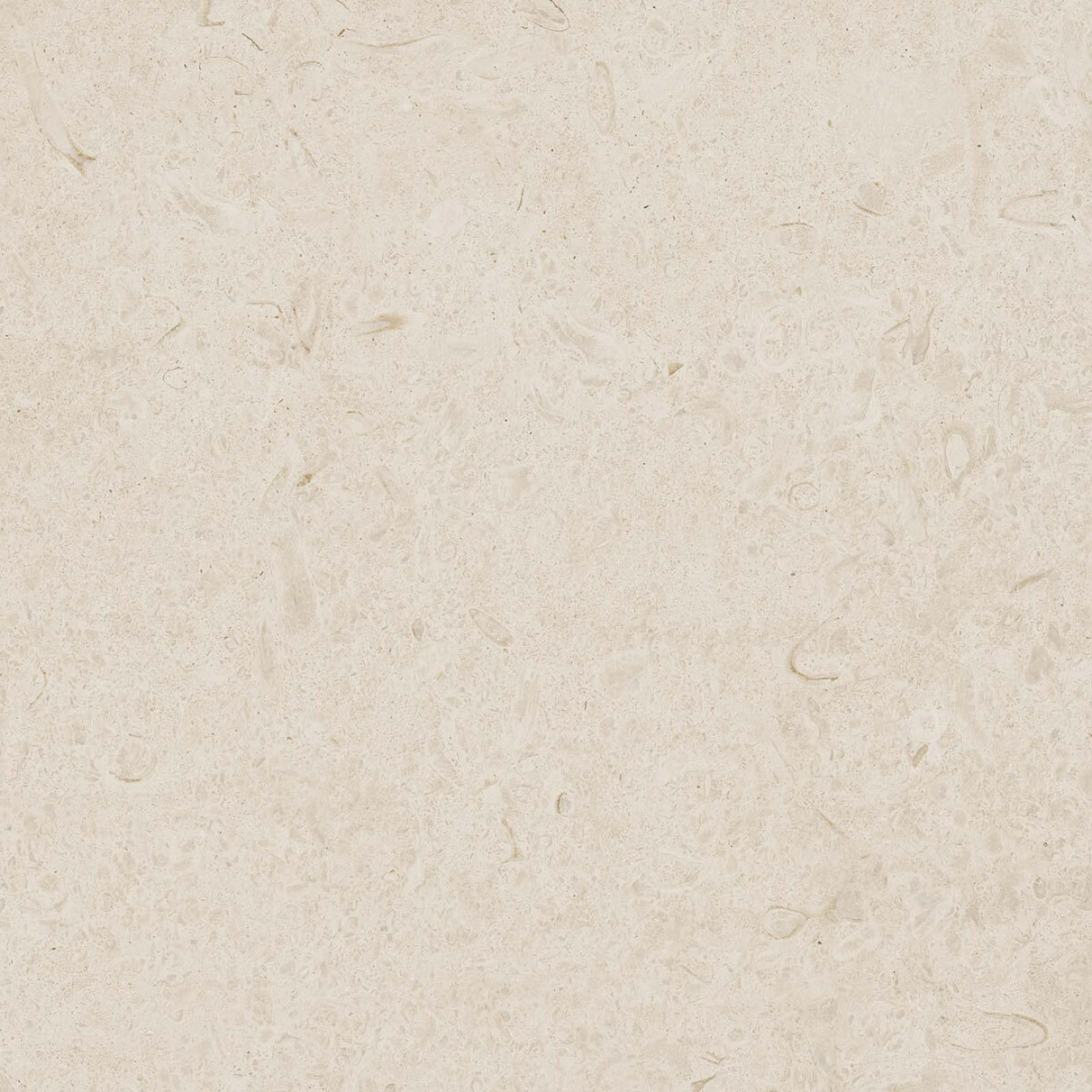 Caracter Blanco_1