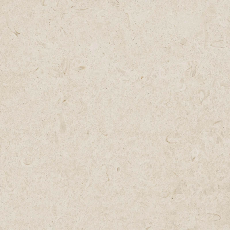 Caracter Blanco_1