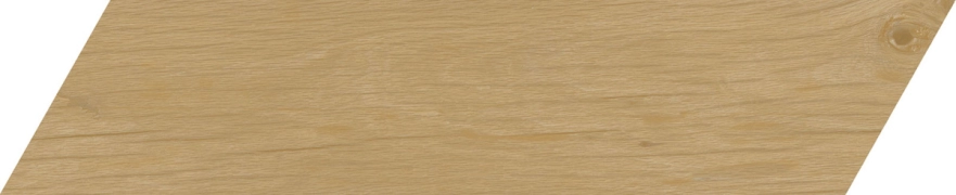 Treverksoul Neutral_1