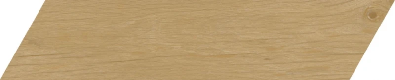 Treverksoul Neutral_1