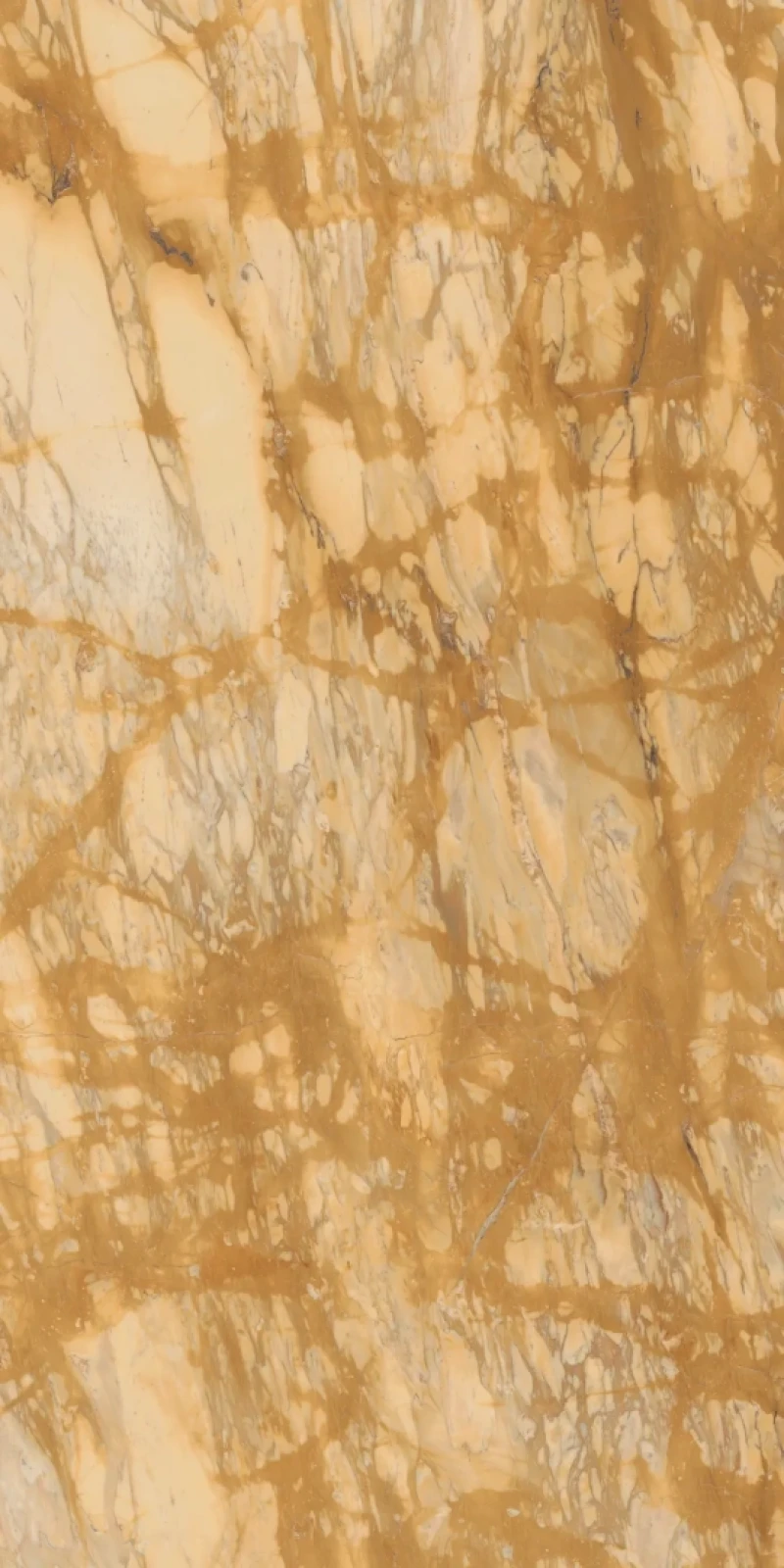 Grande Marble Look Bookmatch B Giallo Siena_1