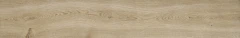 Treverkever Sand_1