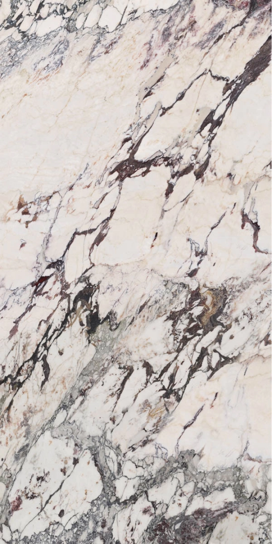 Grande Marble Look Bookmatch A Capraia_1